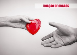 doação